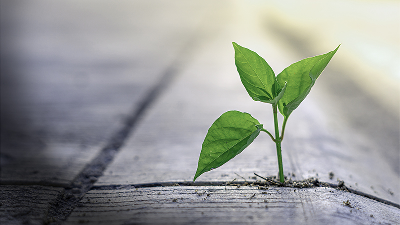 FNs globala hållbarhetsmål kopplat till verksamheten