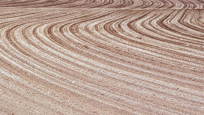 Earth Overshoot Day infaller senare i år