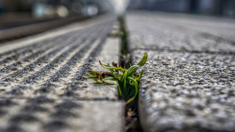 Giftfri miljö med marksanering