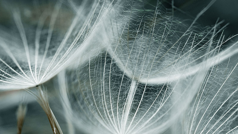 Hållbart samarbete från skissat miljörum till uppfyllda miljömål