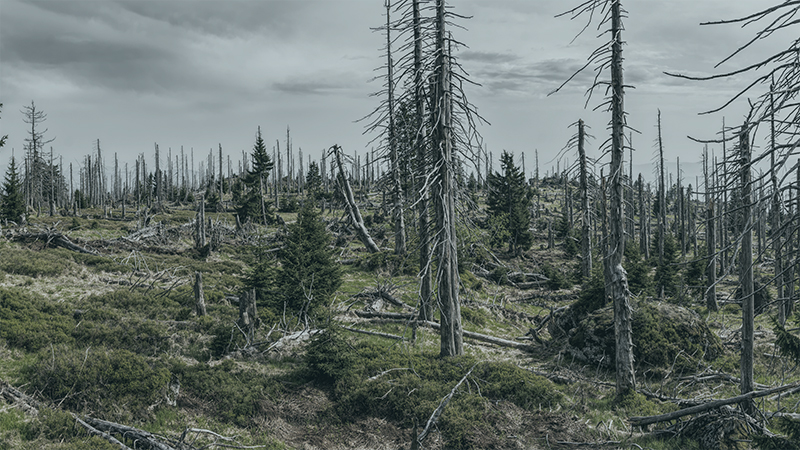 Earth Overshoot Day - Idag har vi förbrukat jordens resurser