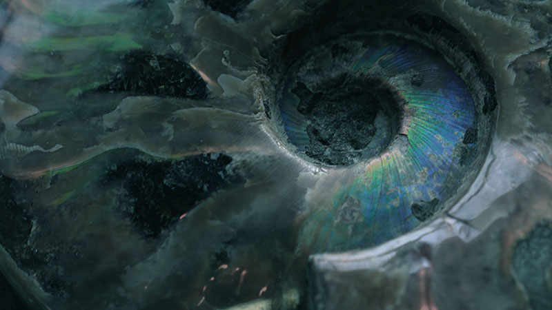 Ett fossilfritt PreZero