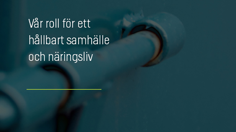 Vår roll för ett hållbart samhälle och näringsliv