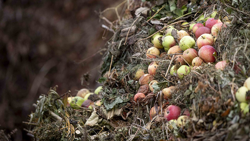Vi måste minska vårt matsvinn