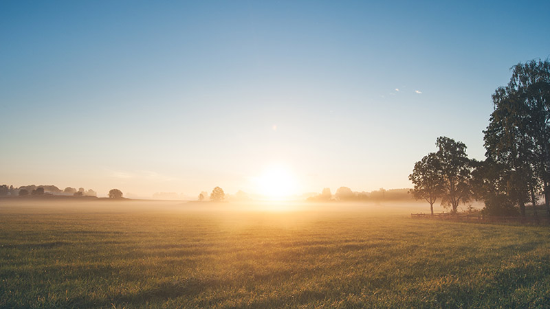 Crkulär ekonomi - för vår planet