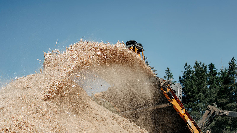 Träflis en viktig cirkulär råvara inom många områden