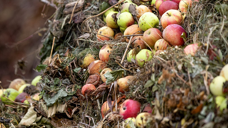 Så blir matavfall till biogas