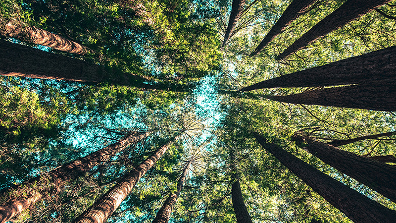 Så kan materialåtervinningen av avfall öka