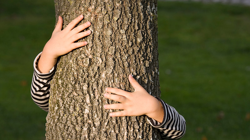 PreZero stöttar Barnens Träds viktiga arbete