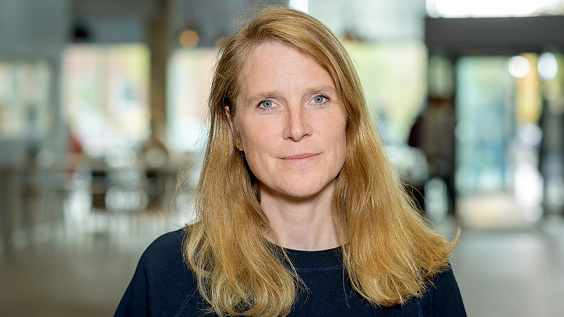 arbetsmiljön i den gröna omställningen