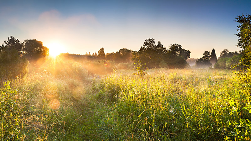 Hur bra klimatledare är du?